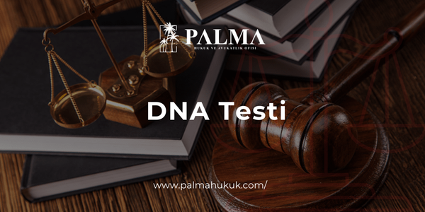 DNA Testi