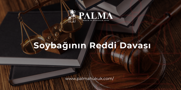 Soybağının Reddi Davası